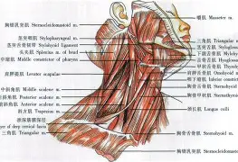 f1p595ps27xyz五-爱游戏中国